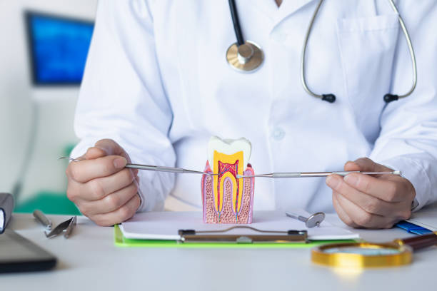 Best Emergency Root Canal Treatment in Mount Hope, NJ
